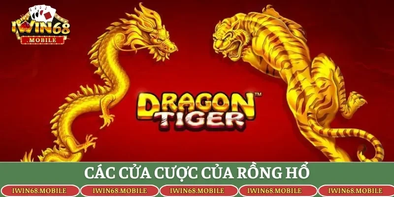Các cửa cược của rồng hổ