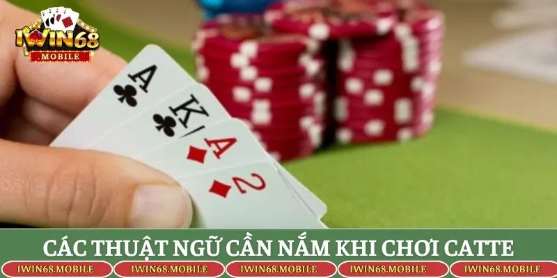 Các thuật ngữ cần nắm khi chơi catte