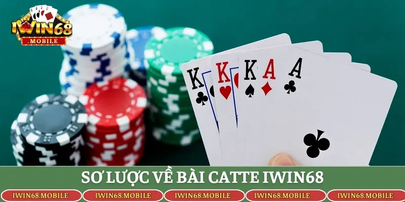 Sơ lược về bài Catte Iwin68